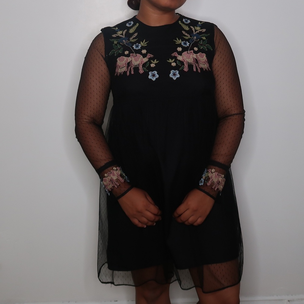 Zara Plumetis Embroided Dress